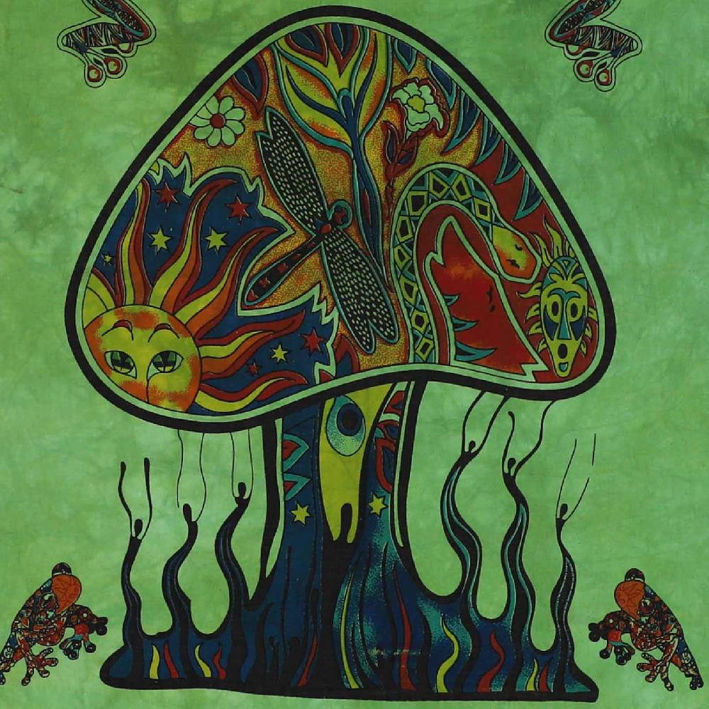 Kunst Und Magie Mushrooms Psy Goa Poster Wandbehang Deko Tuch Psychedelic Dekotuch ca. 210 x 140 cm Begrenzte Freigabe