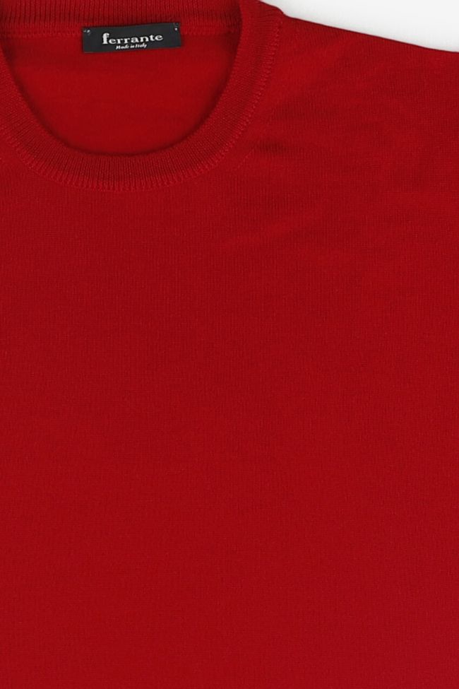 ferrante Strickwaren Herren Ferrante Rundhalsausschnitt Regular Einfarbig 100% Merinowolle Extrafine Hotsell