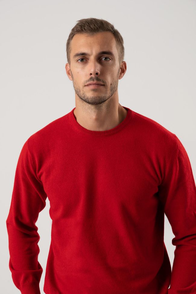 privati firenze Strickwaren Herren Privati Firenze Rundhalsausschnitt Slim Einfarbig 100% Kaschmir Jubiläumsangebot